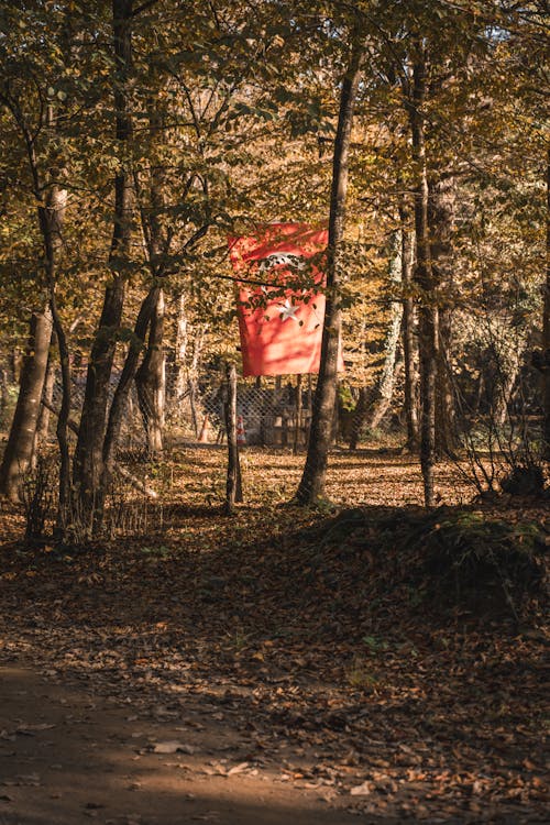 Walkers on a path near Durham Cathedral with the river in view