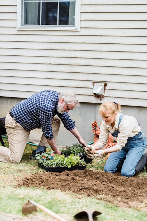 Adult gardening comfortably using a kneeling stool in a raised bed